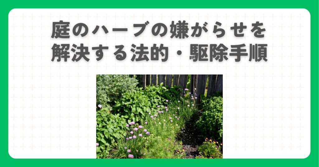 庭のハーブの嫌がらせを解決する法的・駆除手順