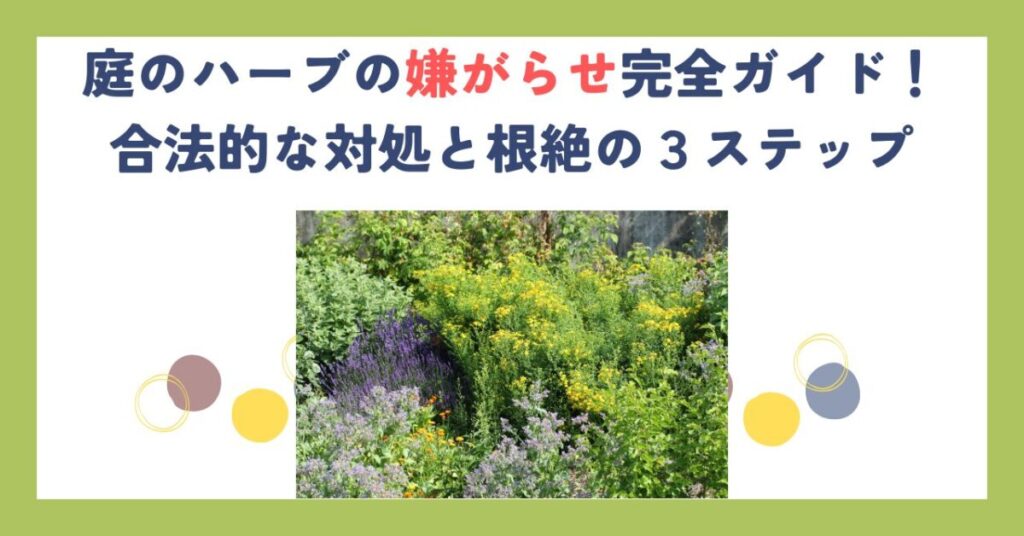 庭のハーブの嫌がらせ完全ガイド！合法的な対処と根絶の３ステップ