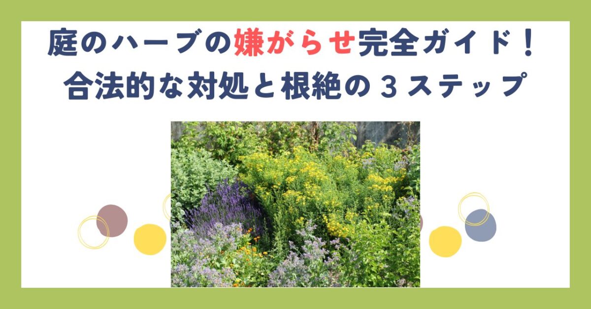 庭のハーブの嫌がらせ完全ガイド！合法的な対処と根絶の３ステップ