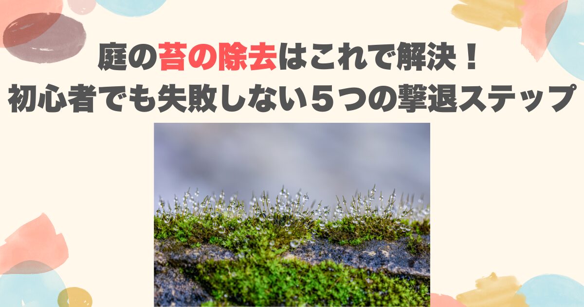 庭の苔の除去はこれで解決！初心者でも失敗しない５つの撃退ステップ