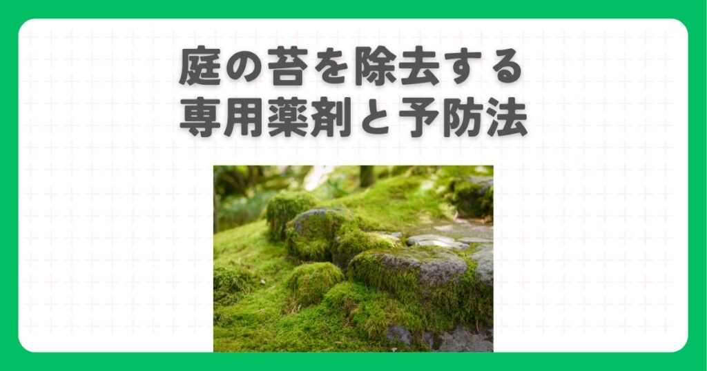 庭の苔を除去する専用薬剤と予防法