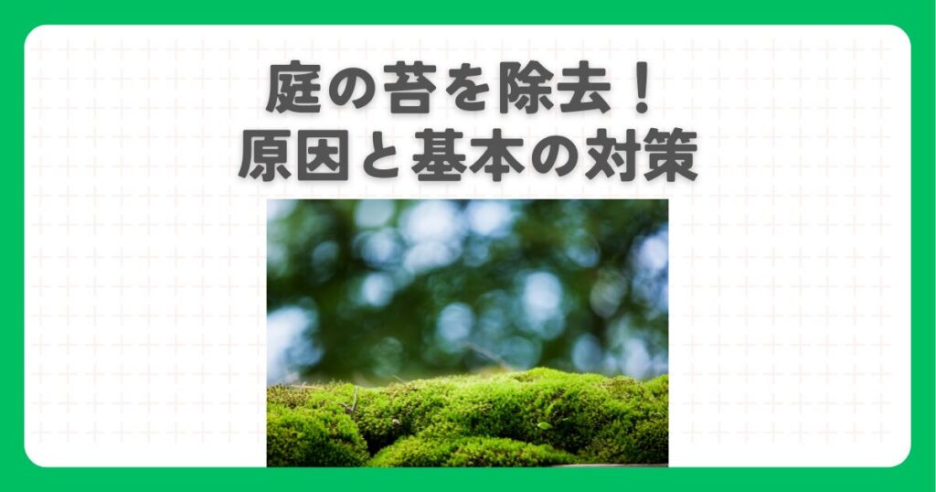 庭の苔を除去！原因と基本の対策