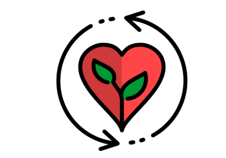 プランターで山椒を育てる：突然枯れる原因と復活のレスキュー