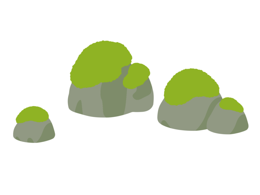 庭の苔：苔が発生する根本的な原因とは