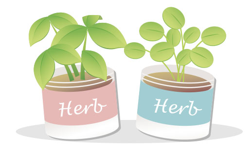 ハーブを庭に植えてはいけない理由：鉢植えで楽しむ安全なハーブ栽培