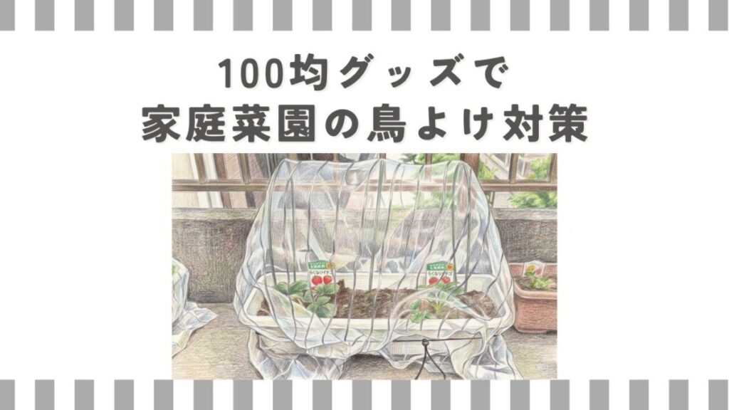 100均グッズで家庭菜園の鳥よけ対策