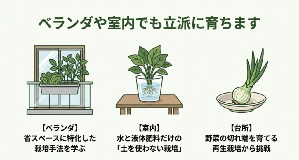 家庭菜園の初心者におすすめの本：ベランダでのプランター栽培、室内での水耕栽培、台所での再生栽培のイラスト。ベランダや室内でも立派に育つことを解説する図解