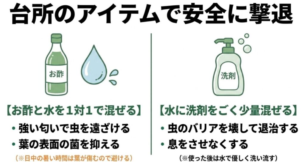 バジル：台所にあるお酢や洗剤を水と混ぜて作る、安全な手作り防虫スプレーの作り方と効果についての図解です。