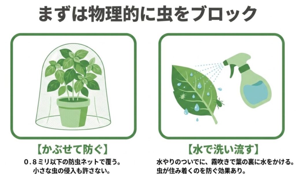 バジル：0.8ミリ以下の防虫ネットをかぶせて虫を防ぐ方法と、霧吹きで葉の裏に水をかけて洗い流す物理的対策のイラストです。