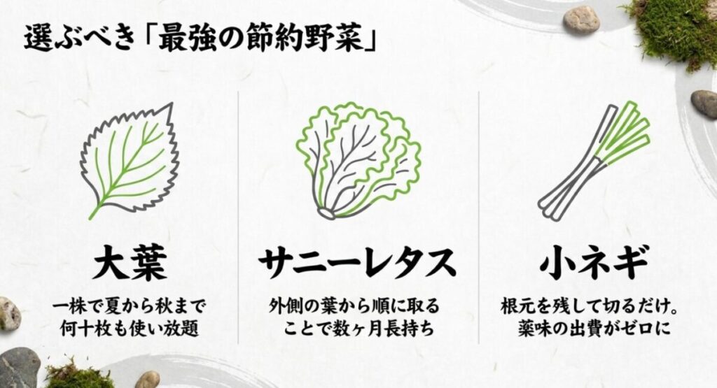 家庭菜園で節約：選ぶべき最強の節約野菜として 、夏から秋まで使い放題の大葉 、外側の葉から取ることで長持ちするサニーレタス 、根元を残して切るだけで薬味代がゼロになる小ネギ の特徴を説明したスライド