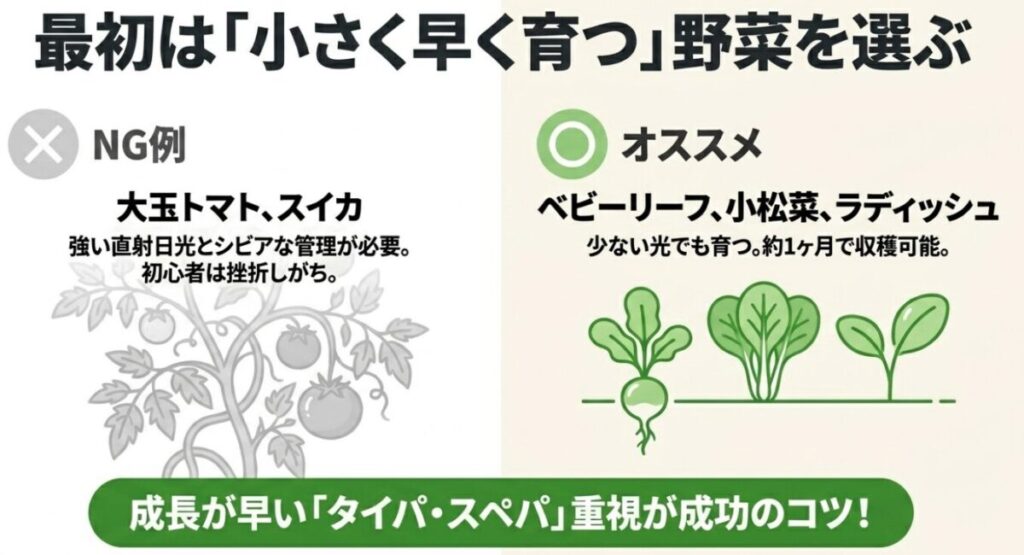 初心者におすすめのベビーリーフや小松菜（約1ヶ月で収穫可能）と、挫折しやすいNG例の大玉トマトやスイカの比較。