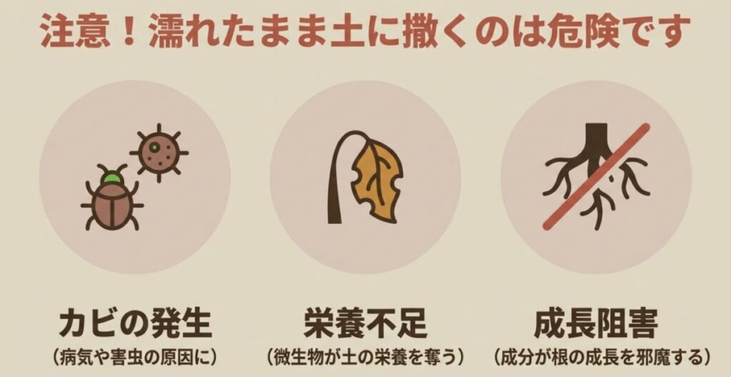 コーヒーかす肥料：注意、濡れたまま土に撒くのは危険です 。カビが発生し病気や害虫の原因になるほか 、微生物が栄養を奪うことによる栄養不足や成長阻害を引き起こします 。