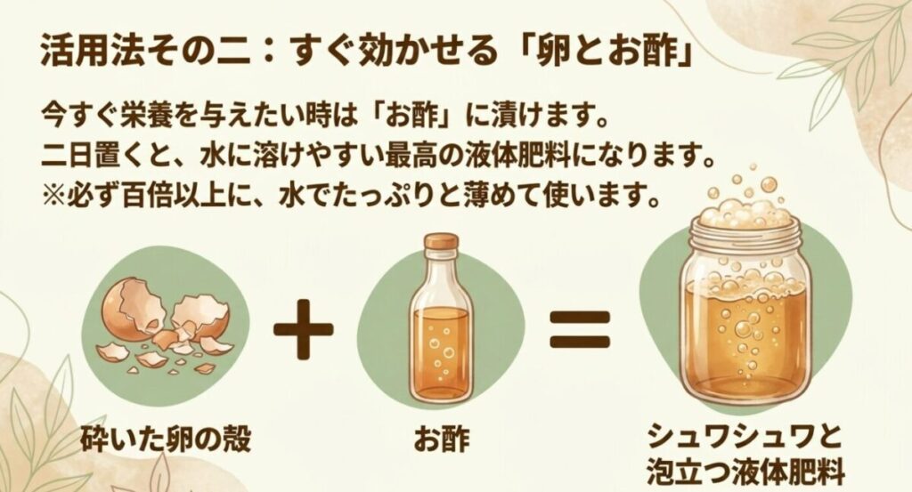 卵の殻を肥料にする：砕いた卵の殻とお酢を混ぜて、シュワシュワと泡立つ液体肥料を作る様子 。