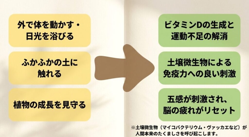 家庭菜園のメリット：外で体を動かすことによる運動不足解消 、土壌微生物による免疫力への刺激 、植物の成長を見守ることによる脳の疲れリセットの解説 。