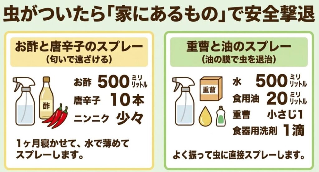 家庭菜園（虫）：虫がついたときに家にあるもので作る安全撃退スプレー。お酢と唐辛子、重曹と油を使ったスプレーのレシピスライド。