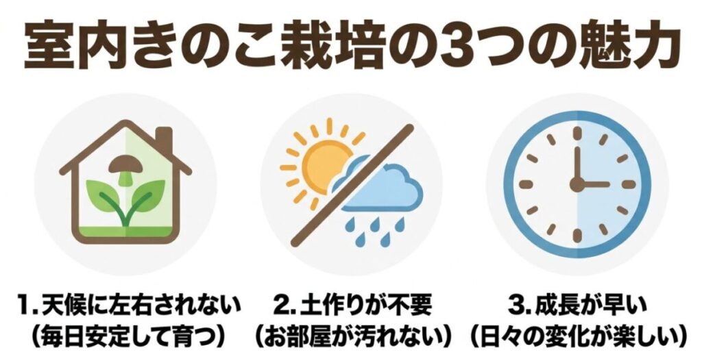 室内きのこ栽培の魅力として、天候に左右されない、土作りが不要、成長が早いという3点がまとめられた図解