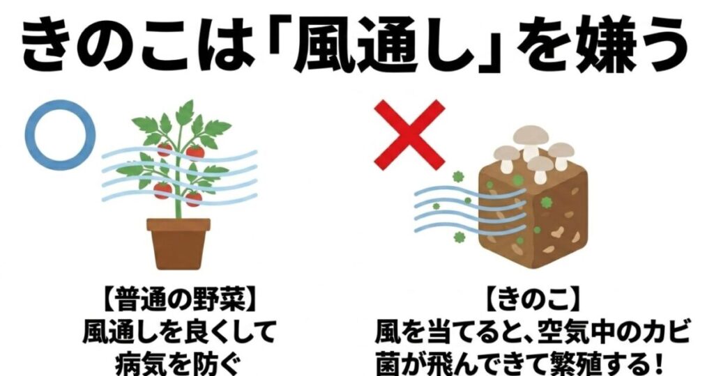 普通の野菜は風通しを良くするが、きのこは風を当てると空気中のカビ菌が飛んできて繁殖するため風通しを嫌うことを説明した図解