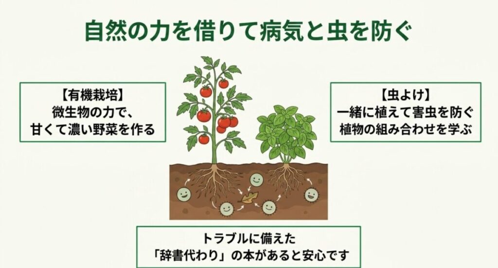 家庭菜園の初心者におすすめの本：トマトとバジルが一緒に植えられ、土の中で微生物が働いているイラスト。自然の力を借りて病気と虫を防ぐ有機栽培やコンパニオンプランツについて解説する図解