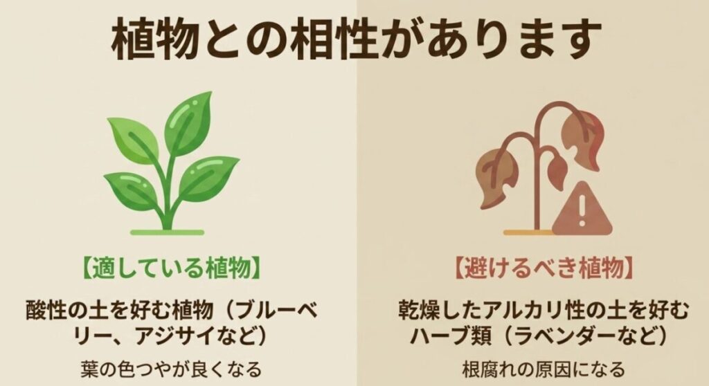 コーヒーかすには植物との相性があります 。ブルーベリーやアジサイなど酸性の土を好む植物には適しており葉の色つやが良くなりますが 、乾燥したアルカリ性の土を好むラベンダーなどのハーブ類には根腐れの原因になるため避けるべきです