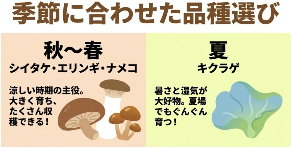 秋から春はシイタケやエリンギやナメコ、夏はキクラゲなど、季節ごとにおすすめのきのこ品種を紹介するスライド