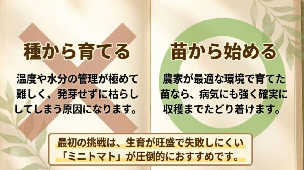 家庭菜園のメリット：種から育てる難しさと、苗から始める確実性の比較と、最初の挑戦にミニトマトをおすすめする解説 。