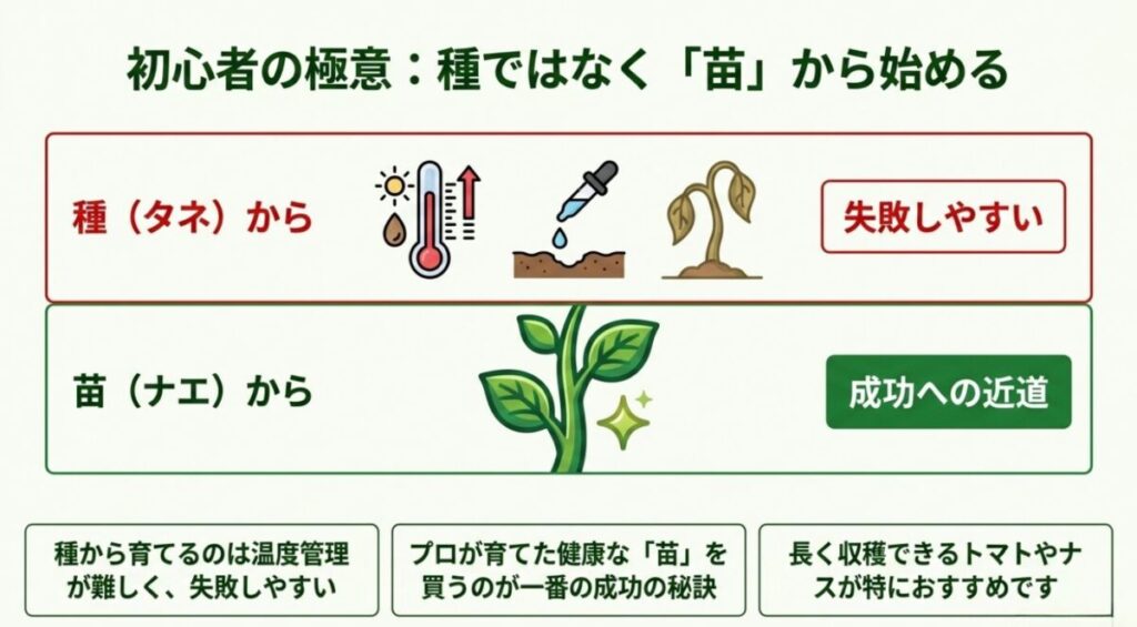 家庭菜園の初心者におすすめの本：枯れた芽と健康な苗のイラストを比較し、種から育てるのは温度管理が難しいため、初心者はプロが育てた健康な苗を買うのが一番の成功の秘訣だと解説する図解