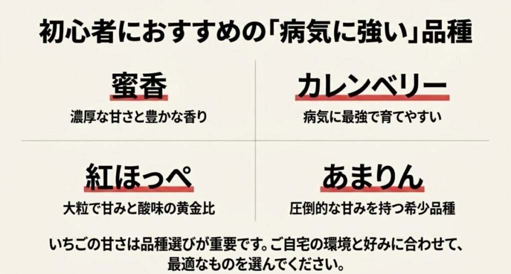 蜜香、カレンベリー、紅ほっぺ、あまりんなど、初心者におすすめの病気に強い品種リスト