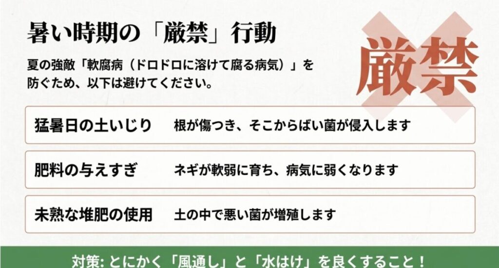 家庭菜園で小ネギ：軟腐病を防ぐために避けるべき猛暑日の土いじりや肥料の与えすぎ、未熟な堆肥の使用を示す厳禁マーク