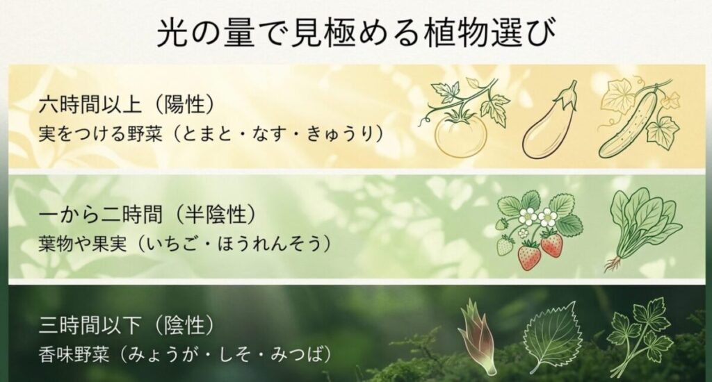 日陰家庭菜園：トマト、ナス、キュウリなどの実をつける野菜から、イチゴ、ホウレンソウ、シソなどの葉物・香味野菜まで、光の要求量に応じた植物のイラスト。