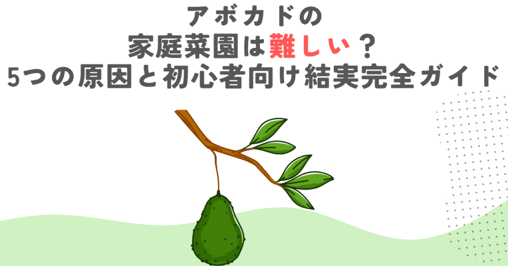アボカドの家庭菜園は難しい？5つの原因と初心者向け結実完全ガイド