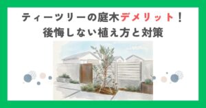 ティーツリーの庭木デメリット！後悔しない植え方と対策