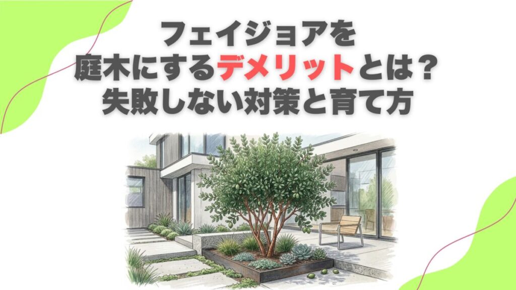 フェイジョアを庭木にするデメリットとは？失敗しない対策と育て方