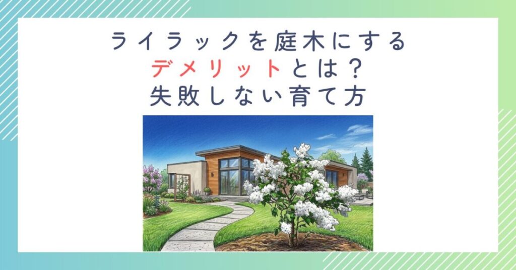 ライラックを庭木にするデメリットとは？失敗しない育て方