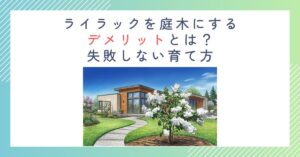 ライラックを庭木にするデメリットとは？失敗しない育て方