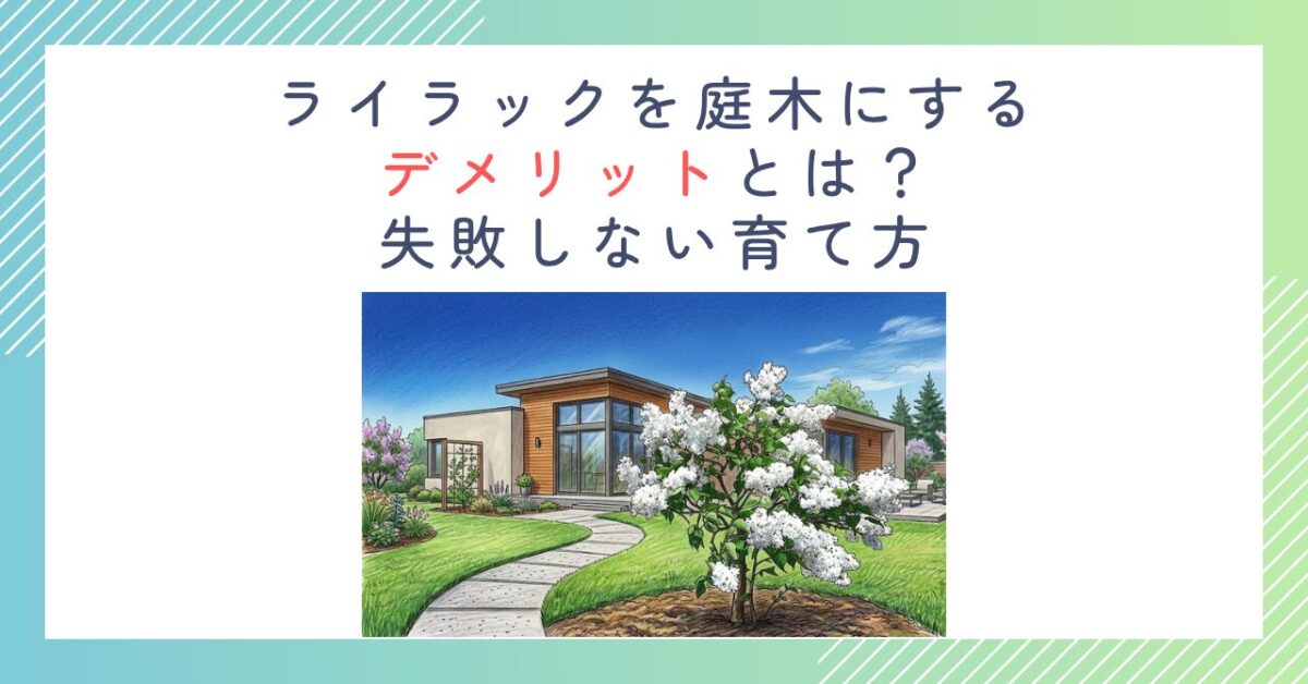 ライラックを庭木にするデメリットとは？失敗しない育て方