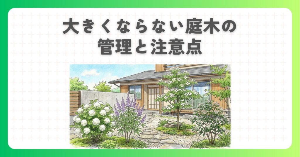 大きくならない庭木の管理と注意点