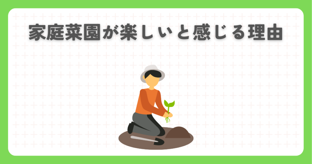 家庭菜園が楽しいと感じる理由