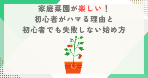家庭菜園が楽しい！初心者がハマる理由と初心者でも失敗しない始め方