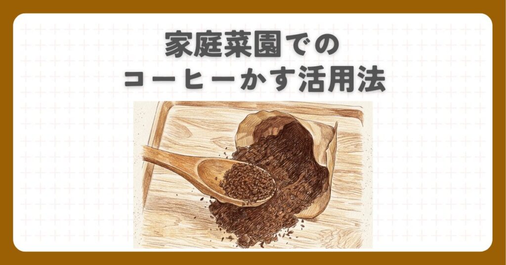 家庭菜園でのコーヒーかす活用法