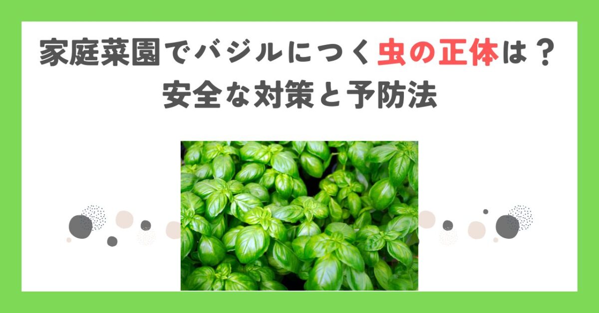 家庭菜園でバジルにつく虫の正体は？安全な対策と予防法