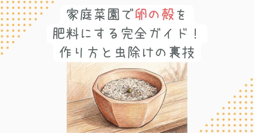 家庭菜園で卵の殻を肥料にする完全ガイド！作り方と虫除けの裏技