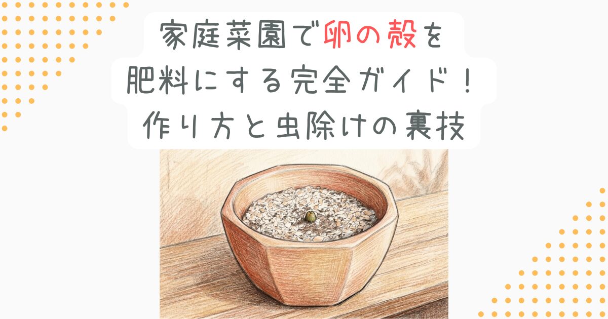 家庭菜園で卵の殻を肥料にする完全ガイド！作り方と虫除けの裏技