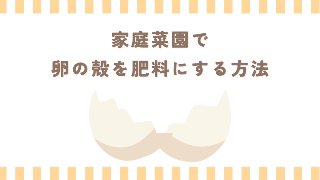 家庭菜園で卵の殻を肥料にする方法