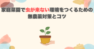 家庭菜園で虫が来ない環境をつくるための無農薬対策とコツ