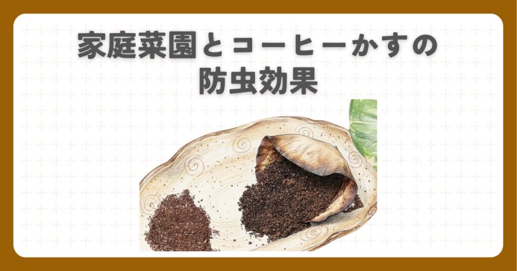 家庭菜園とコーヒーかすの防虫効果