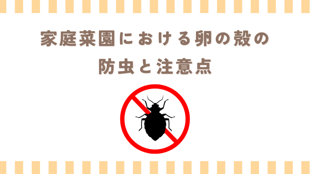 家庭菜園における卵の殻の防虫と注意点