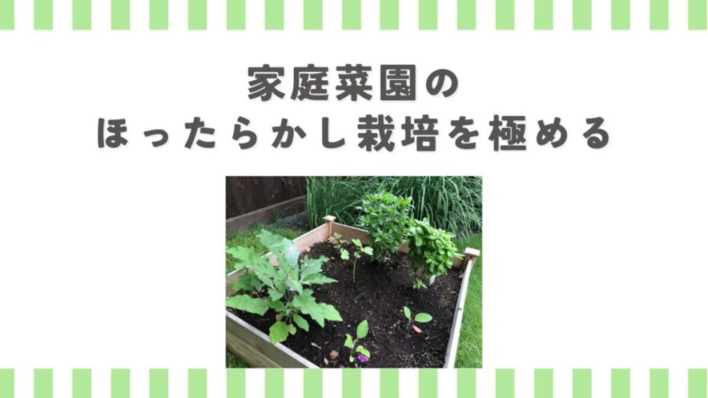 家庭菜園のほったらかし栽培を極める