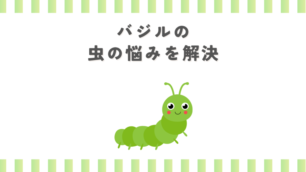 家庭菜園のバジルと虫の悩みを解決