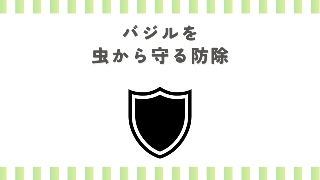 家庭菜園のバジルを虫から守る防除