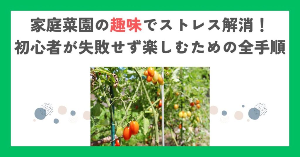 家庭菜園の趣味でストレス解消！初心者が失敗せず楽しむための全手順